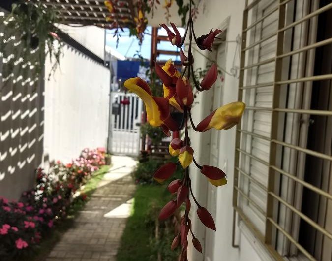 Hostel Vô Vicente no Centro de Ubatuba