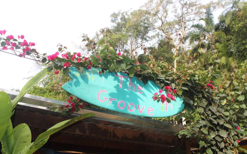 Bamboo Groove Hostel na Vila de Itamambuca em Ubatuba