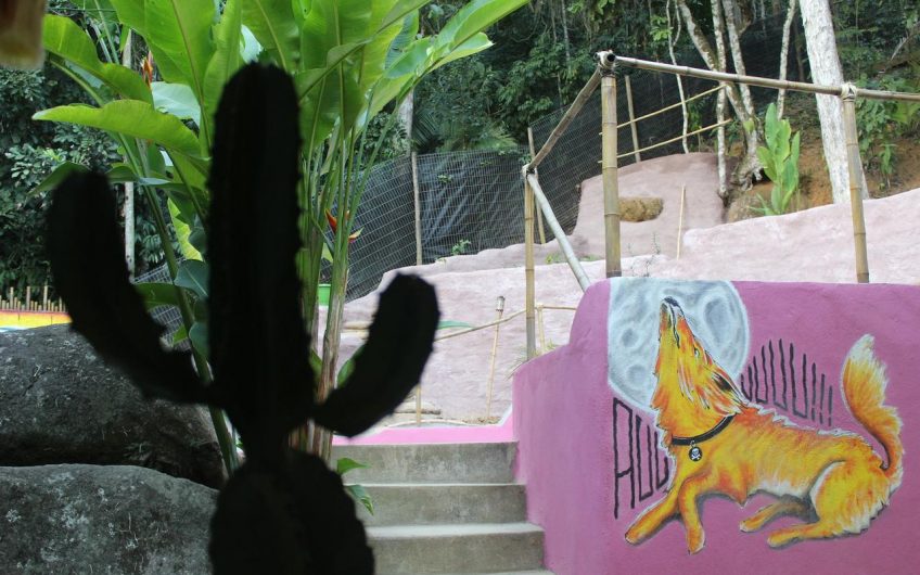 Bamboo Groove Hostel na Vila de Itamambuca em Ubatuba