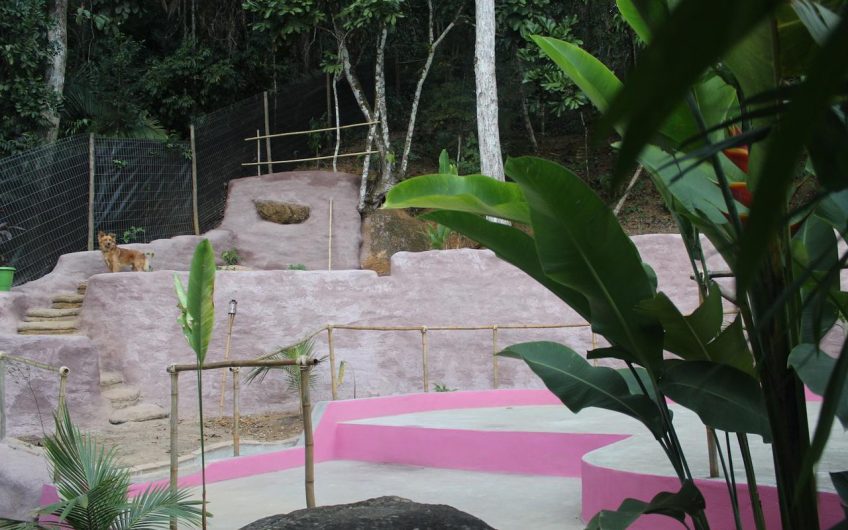 Bamboo Groove Hostel na Vila de Itamambuca em Ubatuba