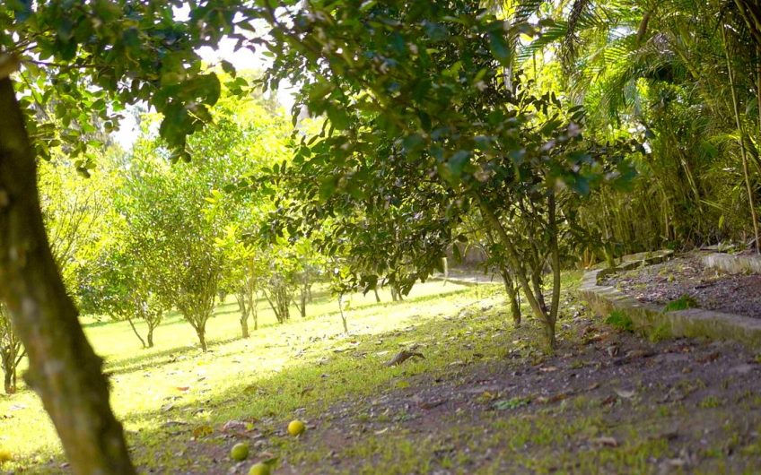 Pousada Bem Viver no Centro de Ubatuba