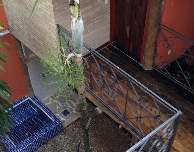 Pousada LalaBella Accommodation no Itaguá em Ubatuba