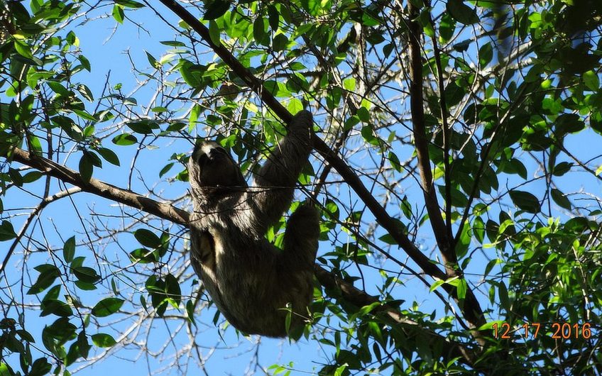 Pousada Bangalôs Itamambuca em Ubatuba