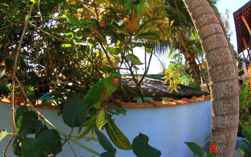 Pousada e Camping Canto do Dado na Vila de Itamambuca em Ubatuba