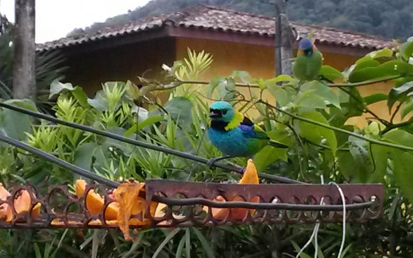 Pousada Flores do Lázaro em Ubatuba