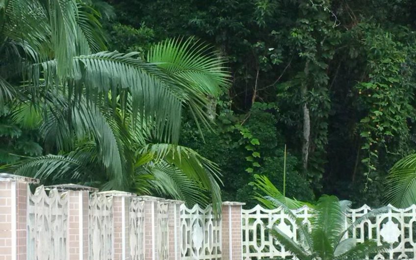 Suítes de temporada na Praia da Lagoinha em Ubatuba hid1760413