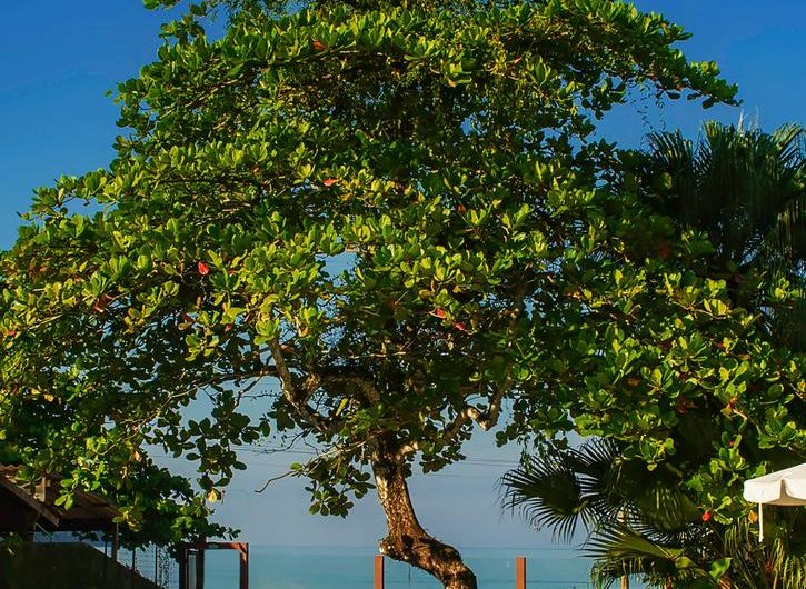 Pousada Vila Jacaa na Praia da Enseada em Ubatuba