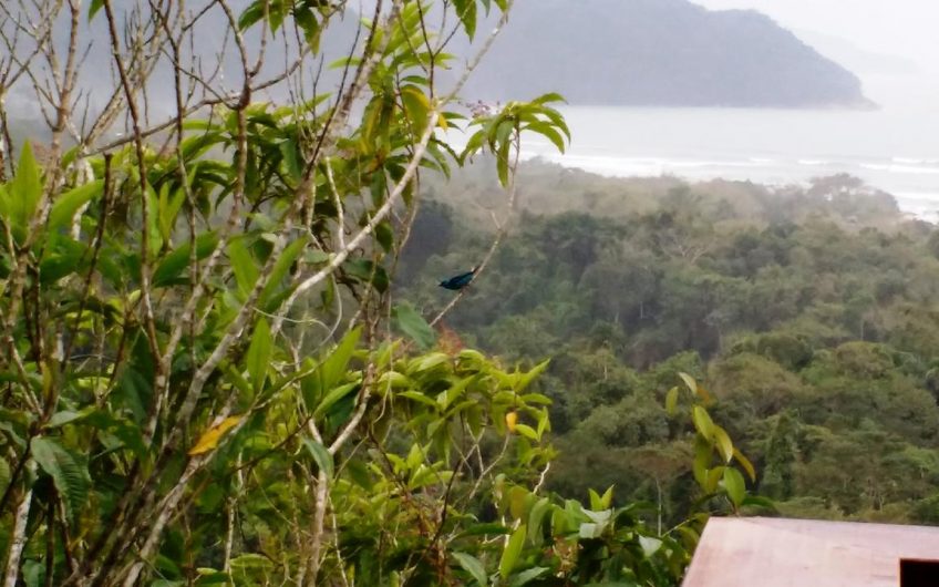 Burung Flats na Praia de Itamambuca em Ubatuba